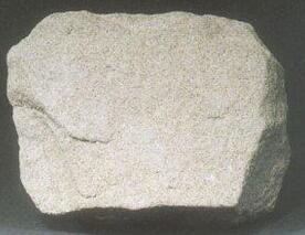 杂砂岩 (非生物)