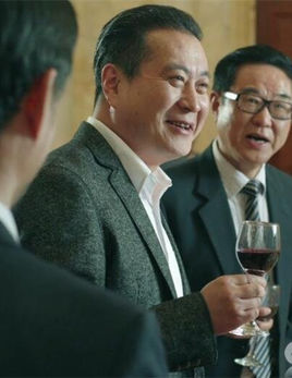 丁义珍电视剧人物