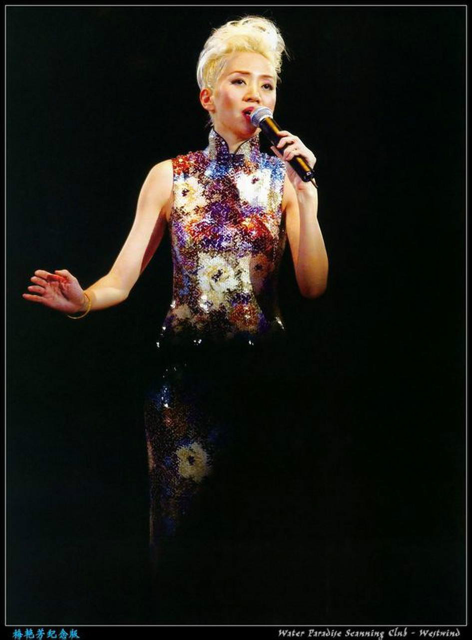 梅艳芳2002演唱会图片