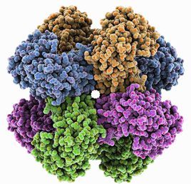 钾离子通道 (电子技术)