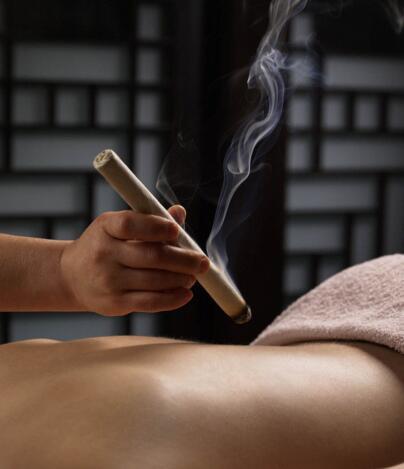 艾灸疗法(中医学与中药学)