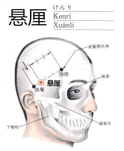 在顳肌中;有顳淺動,靜脈頂支;布有耳顳神經顳支