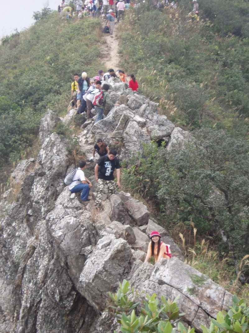 上山（汉语词汇）_技点百科_技点网（汉语词汇）
