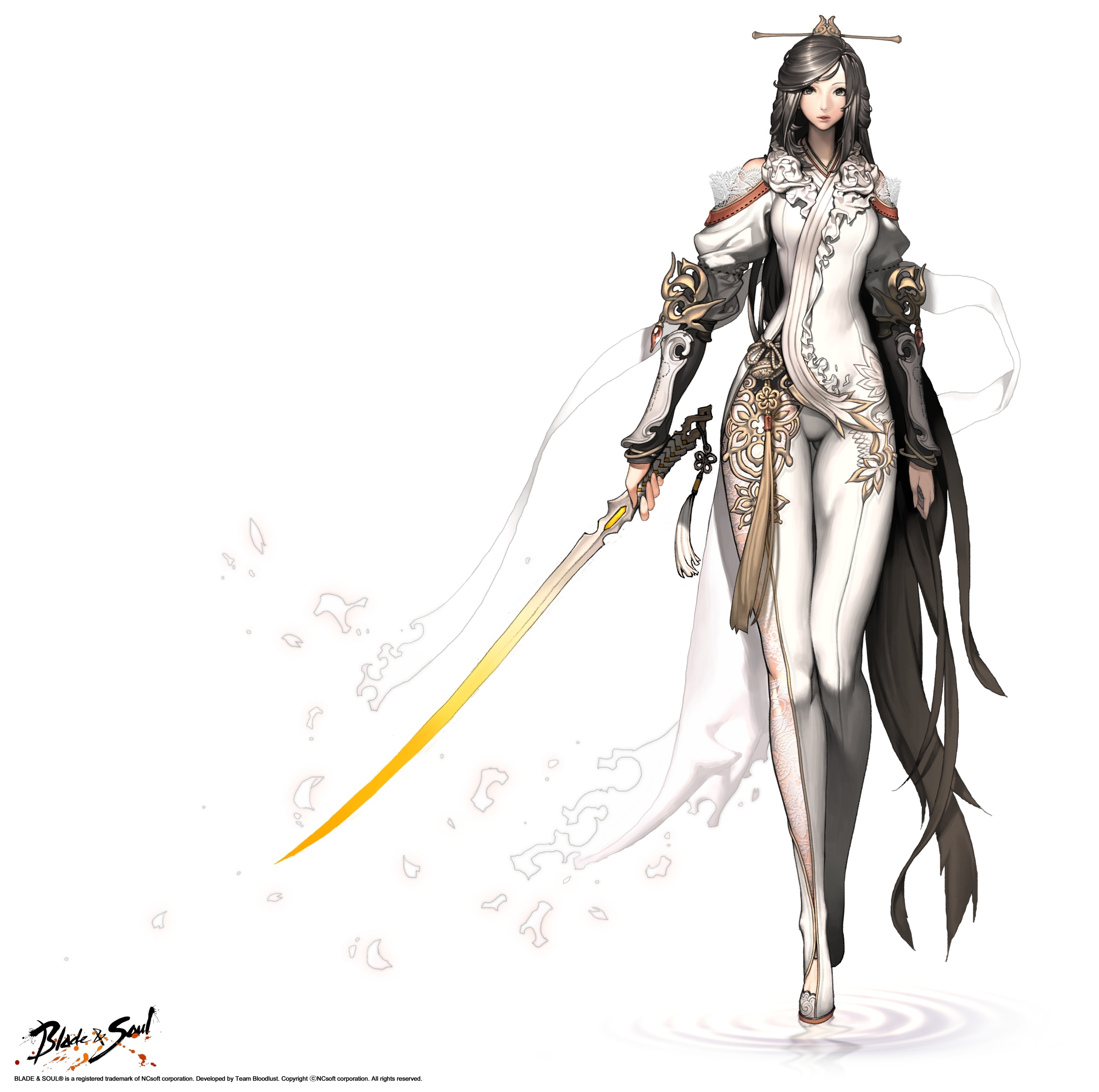 飞月(游戏人物)飞月是韩国网游《blade&soul(剑灵)》中的一个角色,是