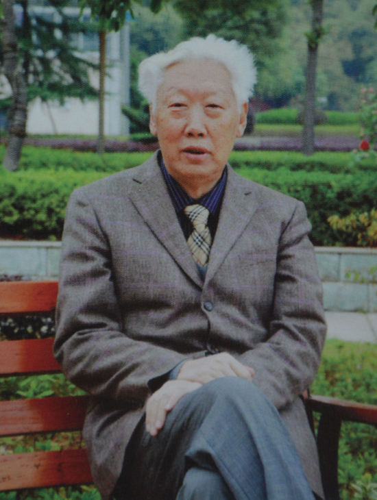 杨敏之 (其他人物相关)