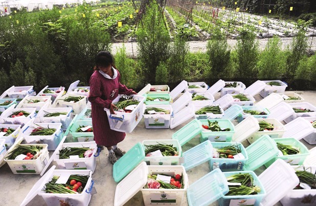蔬菜水果配送中心是以专业,先进的物流基础设施和大规模的从产地,农家