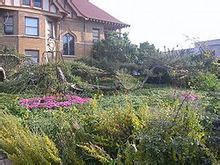 美国大学5 张富生 英语国家研究