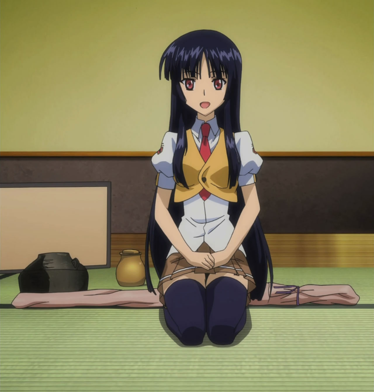 清秋院惠那(图书)