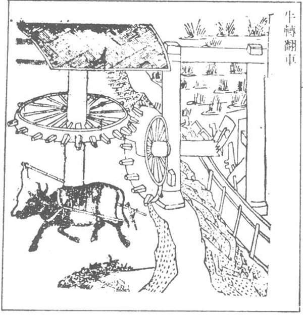 牛转翻车(其他物理学相关)