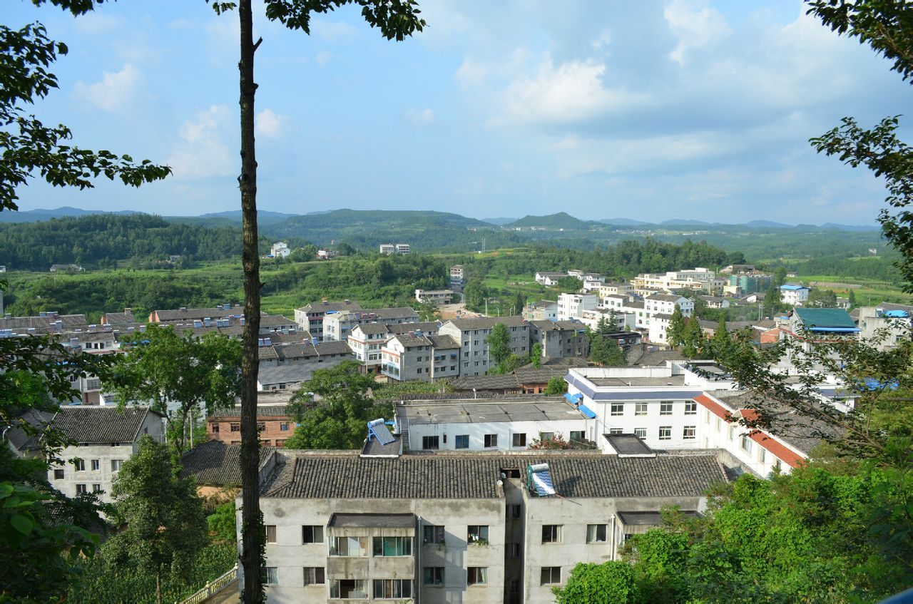 天水新阳镇王家庄图片