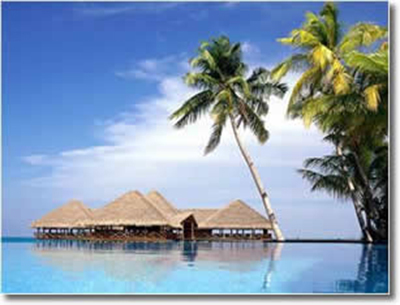 白云机场空港之旅 泰坦之旅 热带雨林的彩色之旅 红色之旅 Www Dingjisc Com