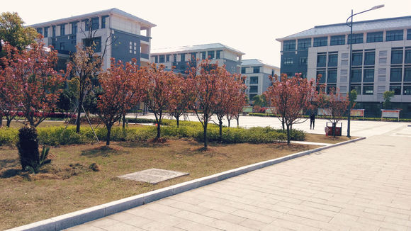 义乌五中(学校)