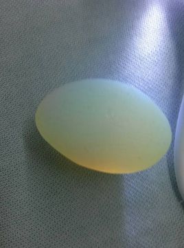 贵蛋白石 (非生物)