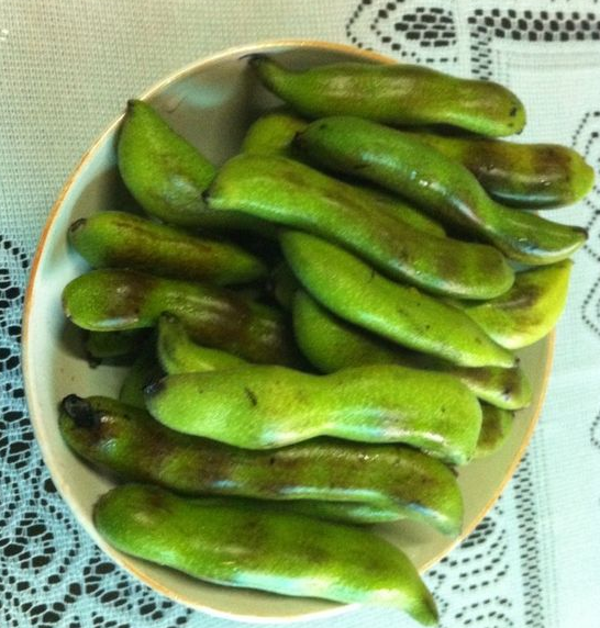 虎爪豆临床医学