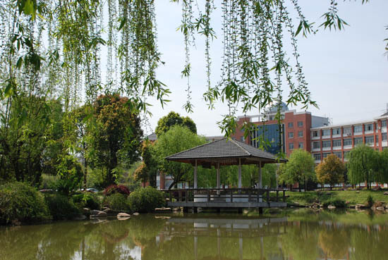 从沃西初级中学到新昌第二中学,再到现在的澄潭中学,正是一届又一届