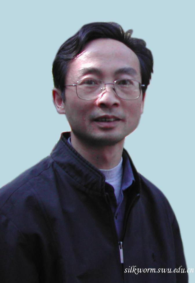 张泽 (演员|教师)