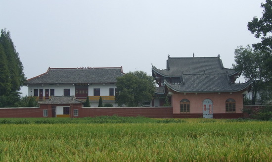 石井村(行政区划)