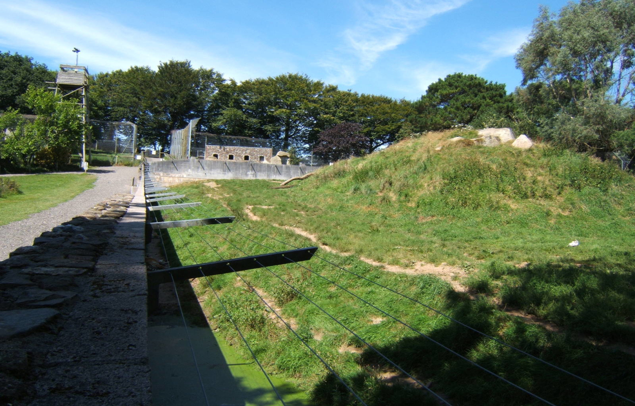 达特穆尔动物园(电影)达特穆尔(dartmoor)是英格兰德文郡中部穆尔兰的