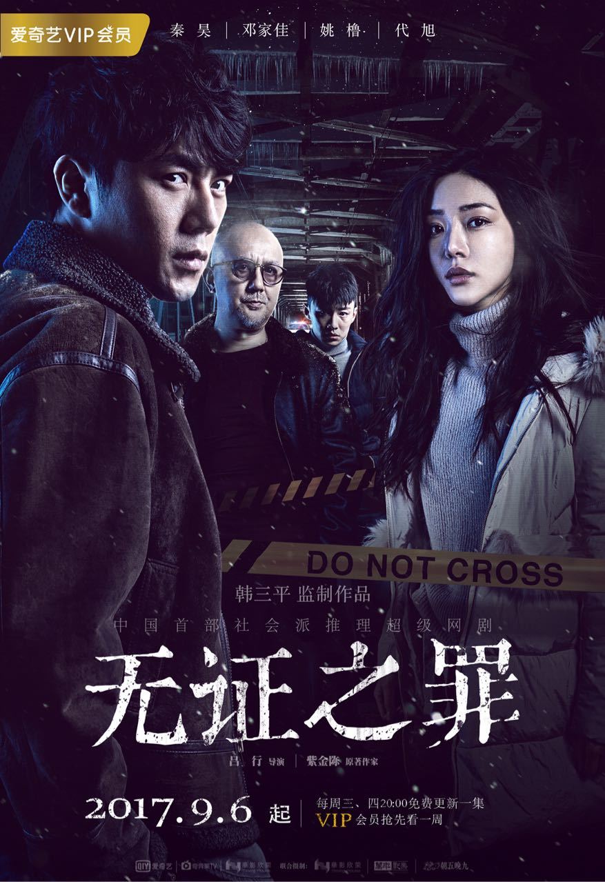 无证之罪电视剧
