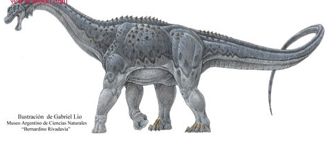 葡萄牙巨龙 (非生物)