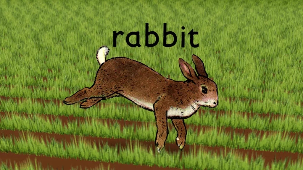 兔子 (其他动漫相关)