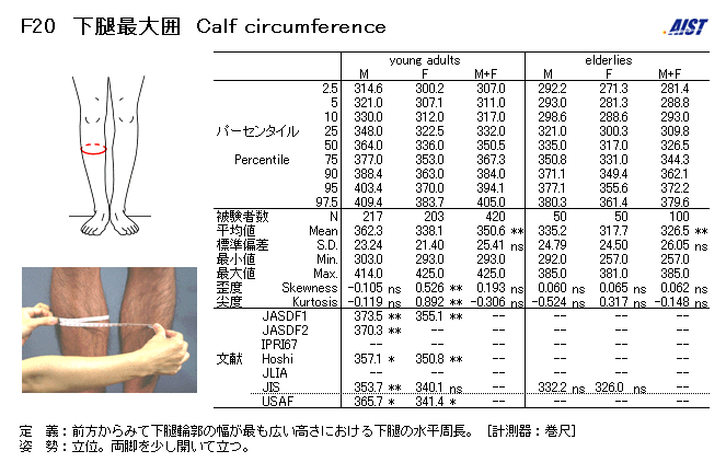 腿肚围自然人类学
