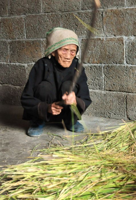 罗美珍(其他人物相关)