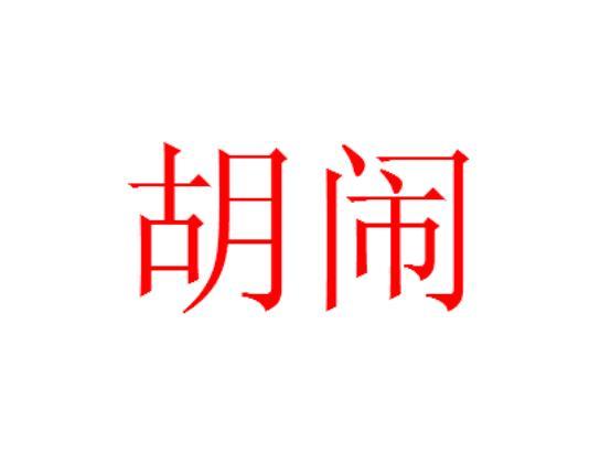 胡闹 (词汇)