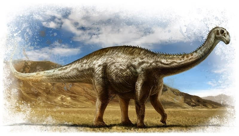 巧龙(其他生物相关)苏氏巧龙是一种小型的勺齿型蜥脚类恐龙,推定长度