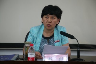 赵琳(政治人物)