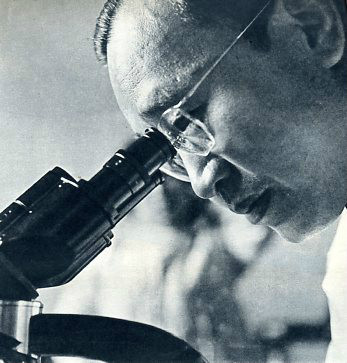 张晓楼 (其他实业人物相关)