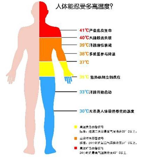 辐射对皮肤的危害图片图片