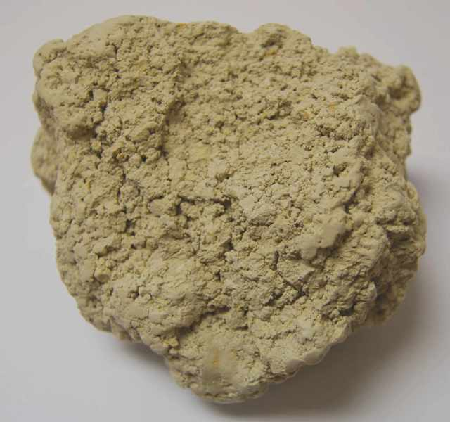 硅藻土 (非生物)