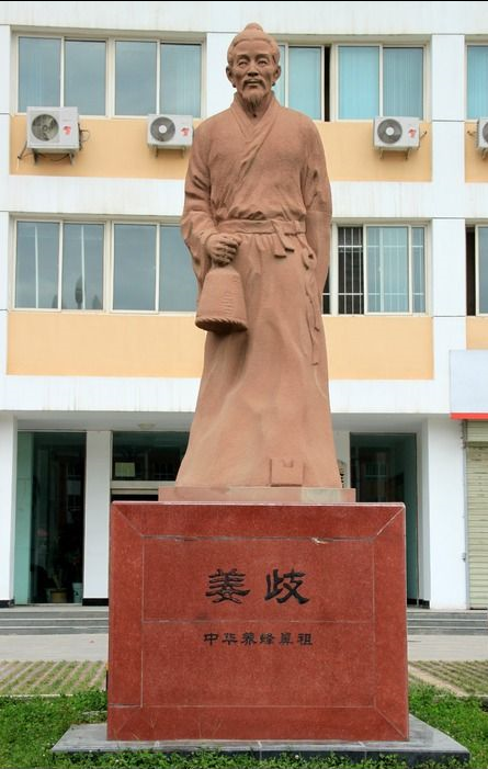 姜岐(历史人物)姜岐,字子平,汉阳上邽(今甘肃天水市秦州区)人,是目前