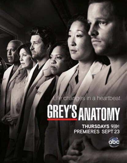 实习医生格蕾第二季 (电视剧)