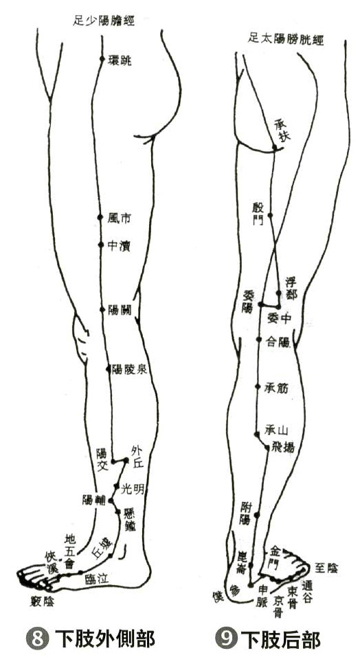 股部分前,内和后区,膝部分为前,后区,小腿部分前,外和后区,足部分踝