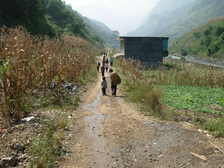 苦竹村 (行政区划)