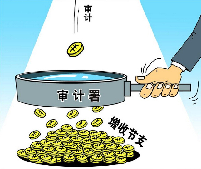 审计其他企业相关