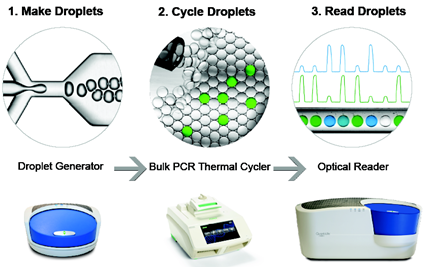 微滴式数字pcr (其他计算机科学技术相关)