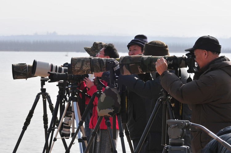意思是在很远的地方用长焦镜头拍摄鸟类的照片