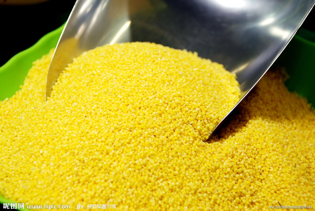 府谷黄米 (植物)