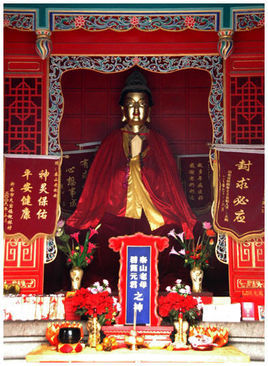 泰山奶奶其他文化相关