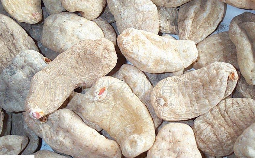 白龙皮农业产品