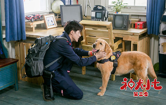 神犬小七第三季 360搜索