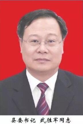 武胜军 (政治人物)