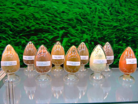 中药标准提取物中医学与中药学