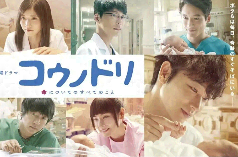 产科医鸿鸟2电视剧