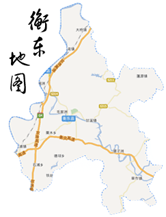 衡东县洣水镇地图图片
