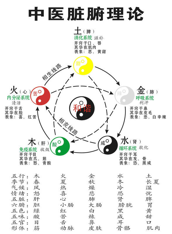 中医理论中医学与中药学