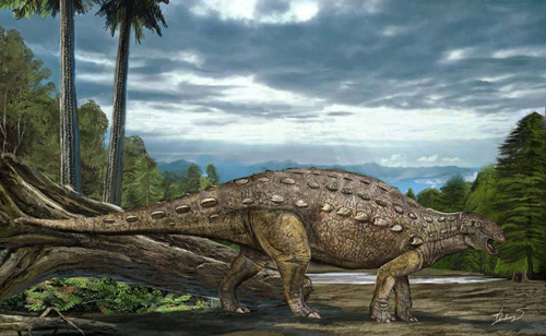 浙江龙 (其他生物相关)